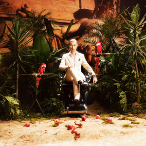 双阳丁丁免费看
