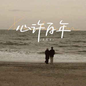 双阳丁丁免费看
